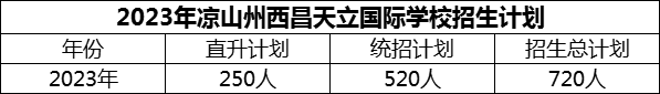 2024年涼山州西昌天立國際學(xué)校招生計劃是多少？