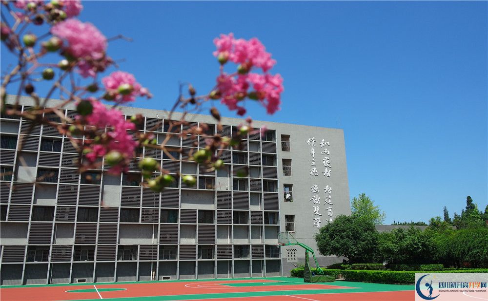 四川師范大學實驗外國語學校2019年中考錄取分數(shù)線